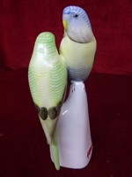 Hollóházi porcelán figurális szobor, papagáj  pár. 17 cm magas. Vanneki!