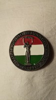 Revolutionary Youth Days badge - one of a set of 3 - 1945 - 1978