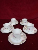 Hollóházi porcelán kávéscsésze + alátét, vitrin minőség. Vanneki!