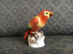 Nagyon szép Herendi porcelán papagáj