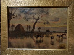 Béla K. Spányi: sunset, swampy landscape