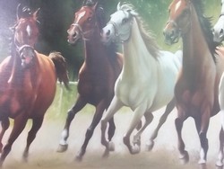 Galloping horses-horse artist print on canvas, frame large size 58x77 cm