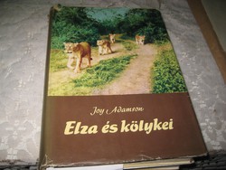 Joy Adamson: Elsa and her cubs 1966. On page 292