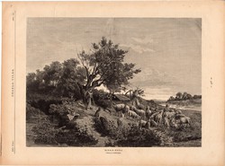 Birka - nyáj, fametszet 1881, metszet, nyomat, 22 x 30 cm, Ország - Világ, juh, pásztor