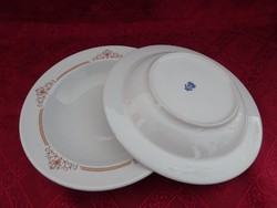 Alföldi porcelán mélytányér, barna motívummal, átmérője 22 cm. Vanneki!