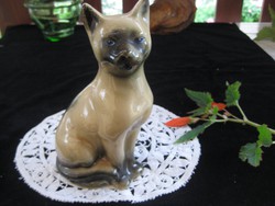 Sziámi porcelán cica  , szép kék szemekkel  , nem jelzett  10 x 17 cm