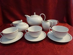 Alföldi porcelán öt személyes teáskészlet. 11 darabos. alátét csak 3 db van Vanneki!