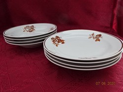 Zsolnay porcelán lapos-, és mélytányér. Barna mintával, arany szegéllyel. Vanneki!