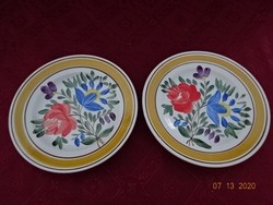 Gránit magyar porcelán kézzel festett süteményes tányér, M Méry jelzéssel. Vanneki! Jókai.