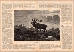 A küzdelem vége, fametszet 1881, metszet, nyomat, 23 x 35 cm, Ország - Világ, szarvas, bika, őz