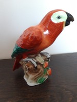 Antik 1939-es Herendi papagáj figura 16 cm-es