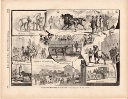 Az első drezdai lókiállítás, metszet 1875, eredeti, német, újság, 22 x 31, fametszet, vásár, ló