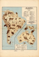 Dél - Amerika és Ausztrália állatföldrajzi térkép 1928, magyar nyelvű, 28 x 41 cm, állat, hal, madár