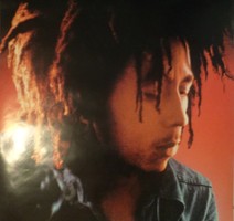 Bob Marley plakát   /  157 x 53 cm.