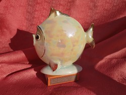 Kőbányai porcelán eozinos lapos hal