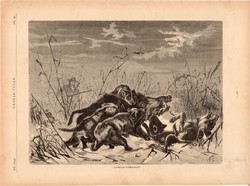 Vadkan - vadászat, fametszet 1881, metszet, nyomat, 20 x 30 cm, Ország - Világ, újság, vaddisznó