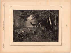 Fölriasztva, fametszet 1881, metszet, nyomat, 17 x 25 cm, Ország - Világ, újság, őz, szarvas, erdő