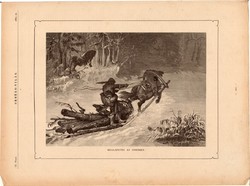 Meglepetés az erdőben, fametszet 1881, metszet, nyomat, 18 x 25 cm, Ország - Világ, farkas, szán