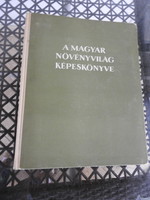 The Hungarian Flora Illustrated Book