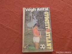 Gyógyít6atlan  - Könyv a magyar fociról