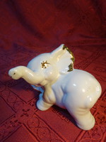 Német porcelán, fehér elefánt, hossza 10 cm. Vanneki!