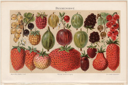 Bogyós gyümölcsök (2), színes nyomat 1894, német nyelvű, eredeti, litográfia, eper, málna, egres
