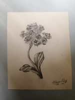 Kluge Károly - Virág tanulmány 