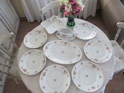 Altwien-style 6-person dinner set in display case condition
