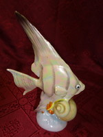 Drasche porcelán, hal figura kagylóval, magassága 15 cm. Vanneki. Jókai!