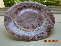 Gold-contoured, antique, unique painting, pink porcelain plate with a bird and insect pattern