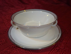 ROSENTHAL  német minőségi porcelán, ezüst szegélyes leveses csésze + alátét. Vanneki!