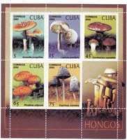 Kuba emlékbélyeg blokk 2002