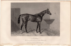Julius, acélmetszet 1868, metszet, eredeti, 10 x 14, ló, versenyló, lóverseny, Cesarewitch Stakes