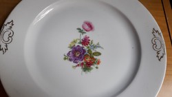Gyönyörű virág mintával, CT ALT. Wasser Germany német porcelán ANTIK25cm, lapos tányér