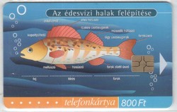 Magyar telefonkártya 0126    2001 Puska Biológia 3 GEM 7    28.200 Db-os