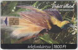 Magyar telefonkártya 0289  1999 Paradicsommadár GEM 7       40.000 Db-os
