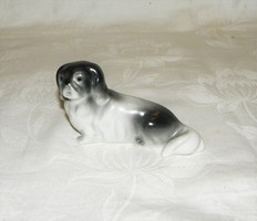Pincsi kutya Drasche porcelán figura