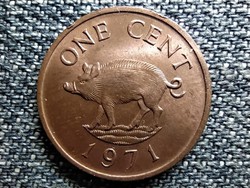 Bermuda II. Erzsébet vaddisznó 1 cent 1971 (id42006)