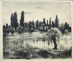 Excellent etching by Ilona Fehér: river bank