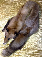 Lovely fox fur coat