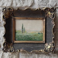 Szentgàly Ferenc  festmény, akvarell vízfestmény, tàjkép mezei virágok, miniatűr blondel keretben.