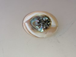 Műanyag vagy bakelit bross, kitűző Abalone gyöngyház kagyló berakással 