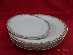 Czechoslovak porcelain, antique plate set. (Deep, flat, pastry) vanneki!