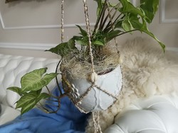 Egzotikus kauri csigákból fűzött virágtartó függeszték 