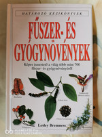 Fűszer- és Gyógynövények - Határozó kézikönyvek sorozat (1988)