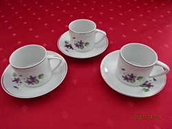 Hollóházi porcelán, ibolyamintás kávéscsésze + alátét. Vanneki! Jókai.