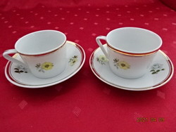 Hollóházi porcelán, sárga virágos kávéscsésze + alátét. Vanneki!