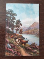 Régi 1932 képeslap tájkép vidéki életkép levelezőlap