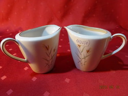 Seltmann Weiden  Bavaria német minőségi porcelán tejkiöntő. Vanneki!