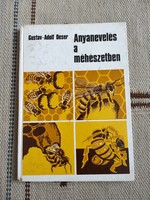 Gustav Adolf Oeser - Anyanevelés a méhészetben